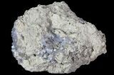 Purple/Gray Fluorite Cluster - Marblehead Quarry Ohio #81197-2